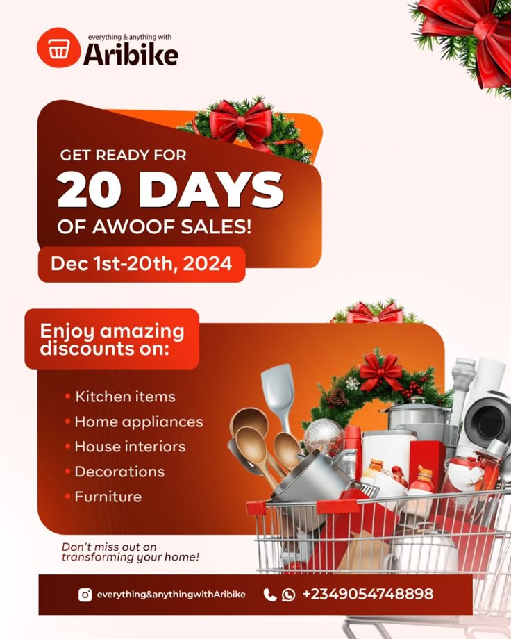 Aribike Marketing Campaign